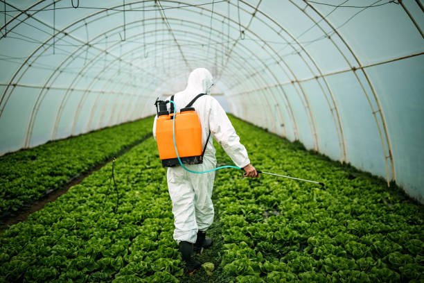 Best Pest Removal Services  in The Hills, NJ