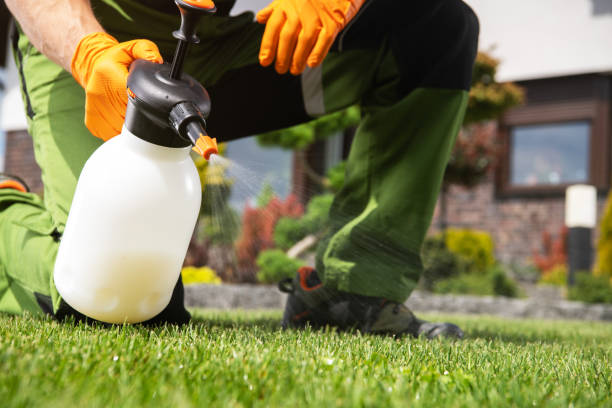 Best Ant Control Services  in The Hills, NJ
