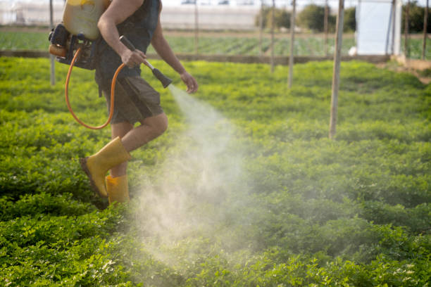 Best Ant Control Services  in The Hills, NJ