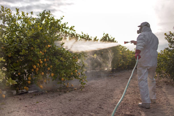 Best Pest Inspection Near Me  in The Hills, NJ