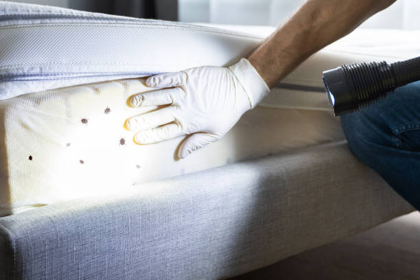 Best Affordable Pest Control Services  in The Hills, NJ